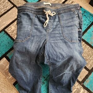 Lane Bryant pull on joggers NWOT